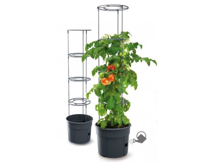 Kvetináč na pestovanie paradajok a iných popínavých rastlín, TOMATO GROWER 29,5 cm